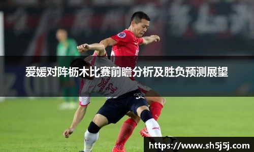 百乐博blb爱媛对阵枥木比赛前瞻分析及胜负预测展望